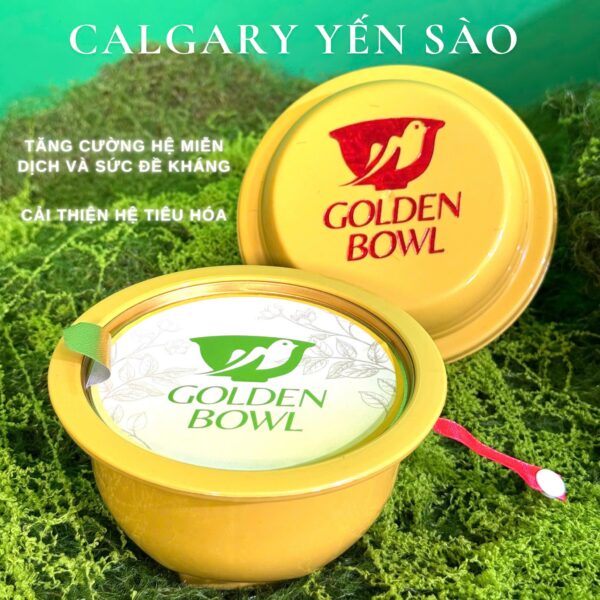 514315871_767291312484053_1260338281970531020_n YẾN SÀO