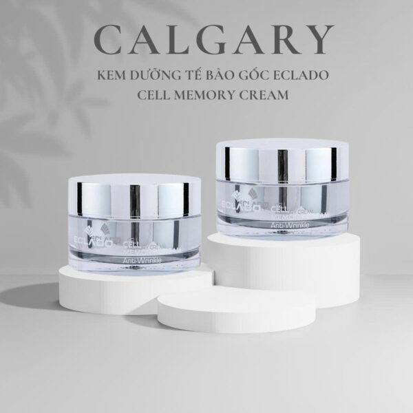 z7319216705618_d77cb567adbbe98280777050217023ed